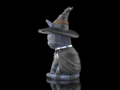 Witch cat 3D प्रिंट मॉडल
