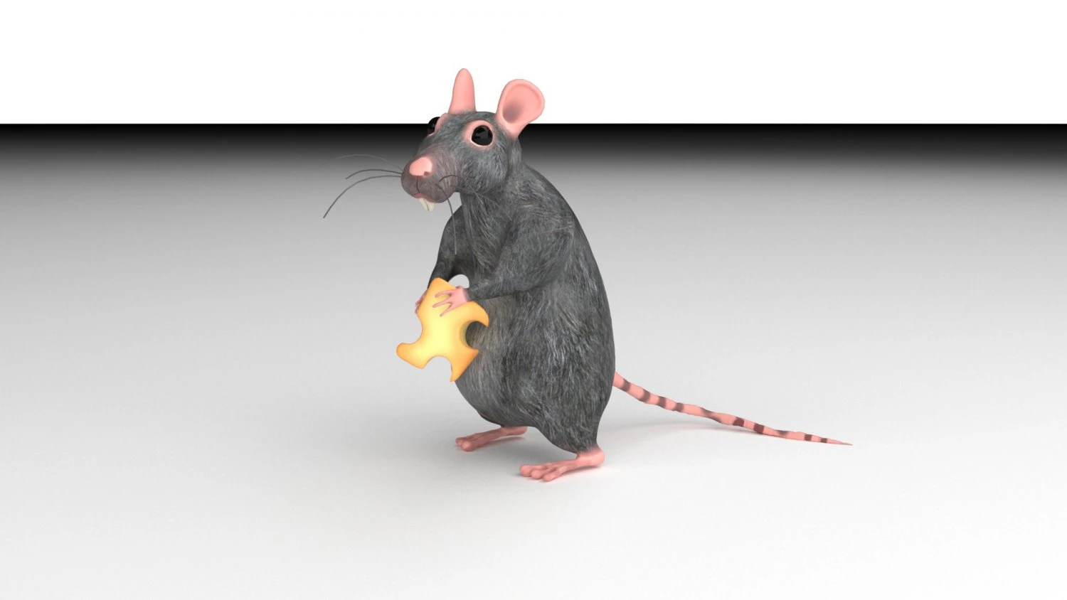 ratt 3D Model .c4d .max .obj .3ds .fbx .stl .blend 