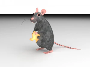 ratt 3D Modell
