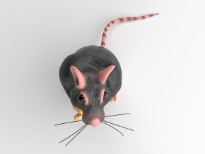 ratt 3Dモデル