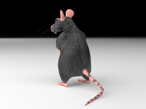 ratt 3Dモデル