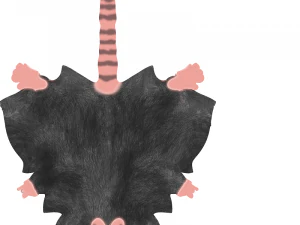 ratt 3D Model