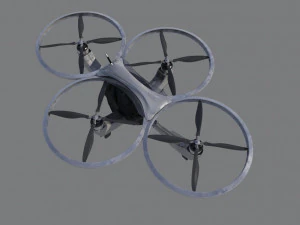 bug do helic&oacute;ptero Modelo 3D