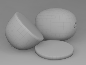 kiwi 3D Model