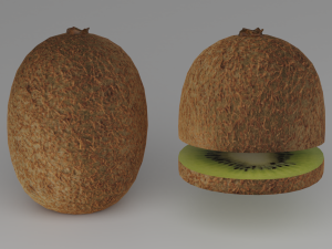 kiwi 3D Model