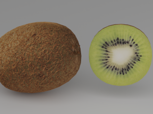 kiwi 3D Model