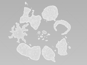 water puddles collection Modelo 3D