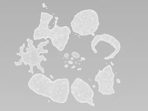 water puddles collection 3D Model