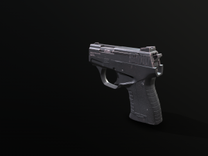 Stalker 3D Model
