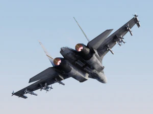 Flanker del Sukhoi SU-27 Modello 3D