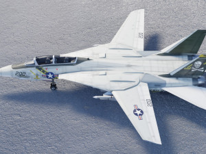 Grumman F-14 Tomcat lowpoly jet fighter 3D Model