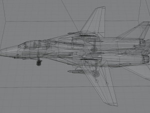 Grumman F-14 Tomcat lowpoly jet fighter 3D Model