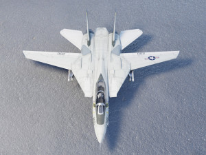 Grumman F-14 Tomcat lowpoly jet fighter 3D Model