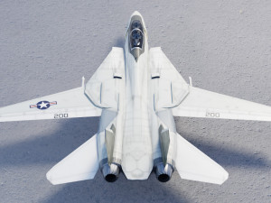 Grumman F-14 Tomcat lowpoly jet fighter 3D Model