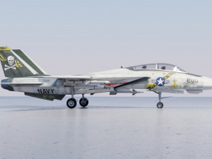 Grumman F-14 Tomcat lowpoly jet fighter 3D Model