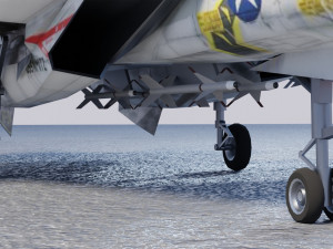 Grumman F-14 Tomcat lowpoly jet fighter 3D Model