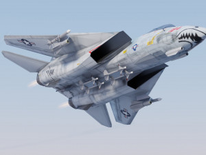 Grumman F-14 Tomcat lowpoly jet fighter 3D Model