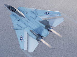 Grumman F-14 Tomcat lowpoly jet fighter 3D Model