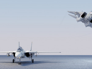 Grumman F-14 Tomcat lowpoly jet fighter 3D Model