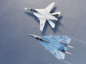 Grumman F-14 Tomcat lowpoly jet fighter 3D Model