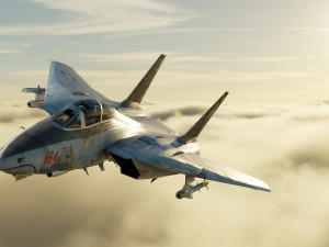 Grumman F-14 Tomcat lowpoly jet fighter 3D Model