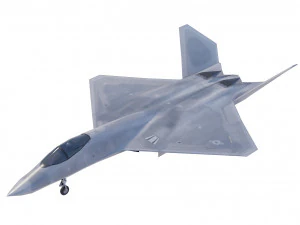 Janda Hitam Northrop YF-23 Model 3D