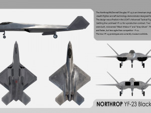 Northrop YF-23 Black Widow 3D 模型
