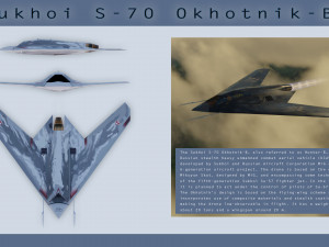 Sukhoi S-70 Okhotnik 3D Model