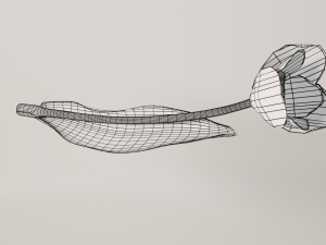 glass tulip 3Dモデル