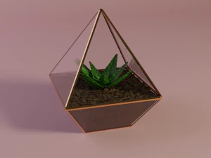 алое в горщику 3D Модель