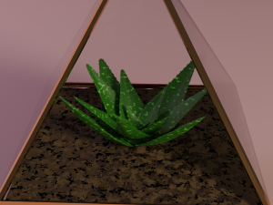 aloe in a pot 3D मॉडल