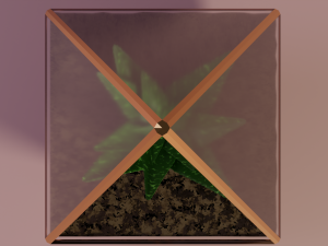 aloe in a pot 3D मॉडल