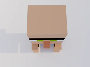 Alde&atilde;o NPC Minecraft Modelo 3D