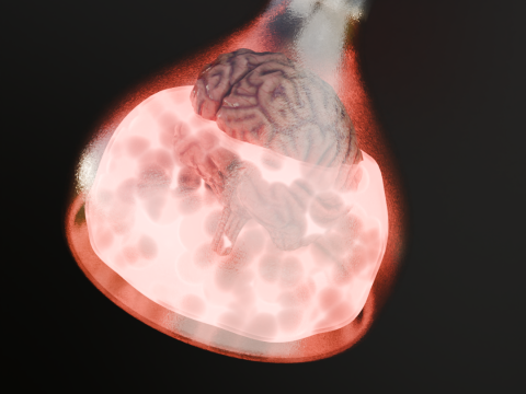 Potion Brain MindEye Elixir Modello 3D