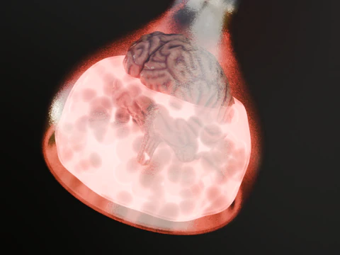 Potion Brain MindEye Elixir 3D Model