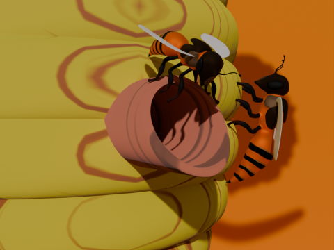Tree with Bee hive honey on Grass 3D Модель