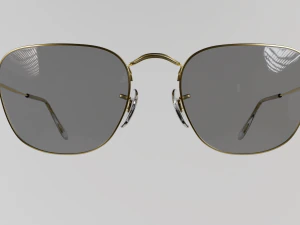 Glasses ray ban 3D Model