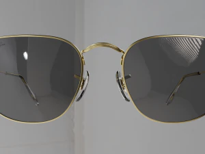 Glasses ray ban 3D Model