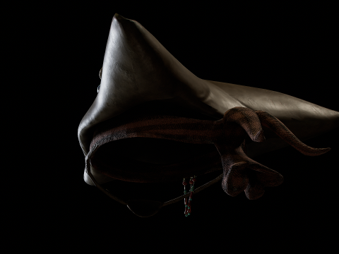 Pirate Hat PBR Modelo 3D