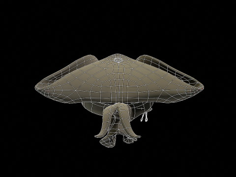 Pirate Hat PBR Modelo 3D