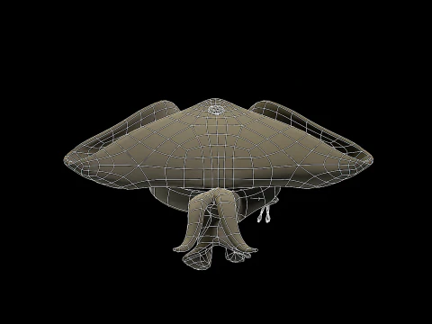 Pirate Hat PBR 3D Model
