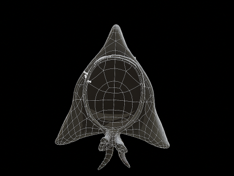 Pirate Hat PBR Modelo 3D