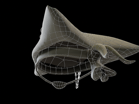 Pirate Hat PBR Modelo 3D