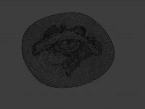 GRILLED OCTOPUS FOOD GAME READY 3D Model
