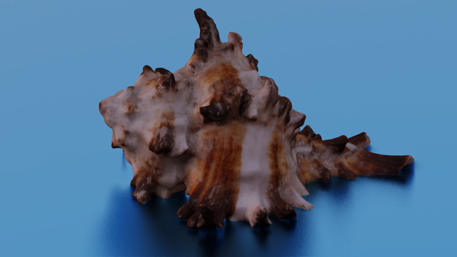 SEA SHELL GAME READY LOW POLY 3D MODEL 3D Model .c4d .max .obj .3ds .fbx .stl .blend 