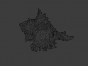 SEA SHELL GAME READY LOW POLY 3D MODEL 3D Model