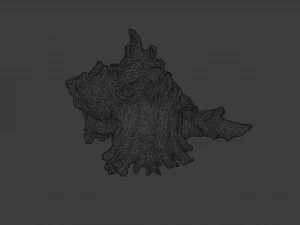 SEA SHELL GAME READY LOW POLY 3D MODEL 3D Model