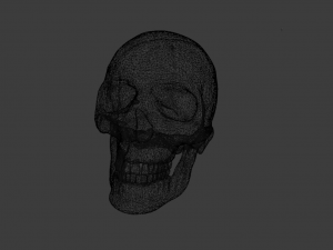SKULL GAME READY LOW POLY 3D MODEL 3D 모델