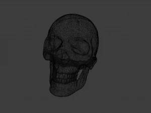 SKULL GAME READY LOW POLY 3D MODEL 3D Model