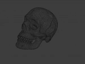 SKULL GAME READY LOW POLY 3D MODEL 3D Model